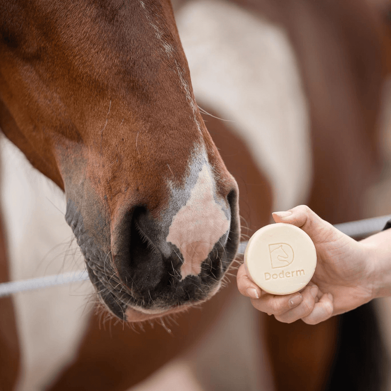 Doderm Alpaka Shampoo Bar für Pferde mit empfindlicher Haut & Sommerekzem