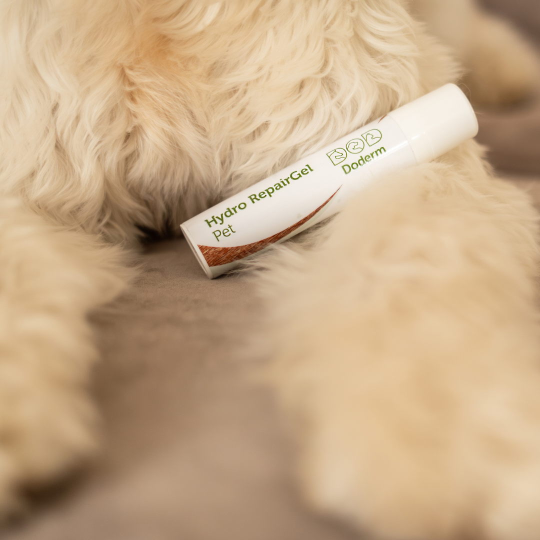 Hydro RepairGel pour animaux de compagnie