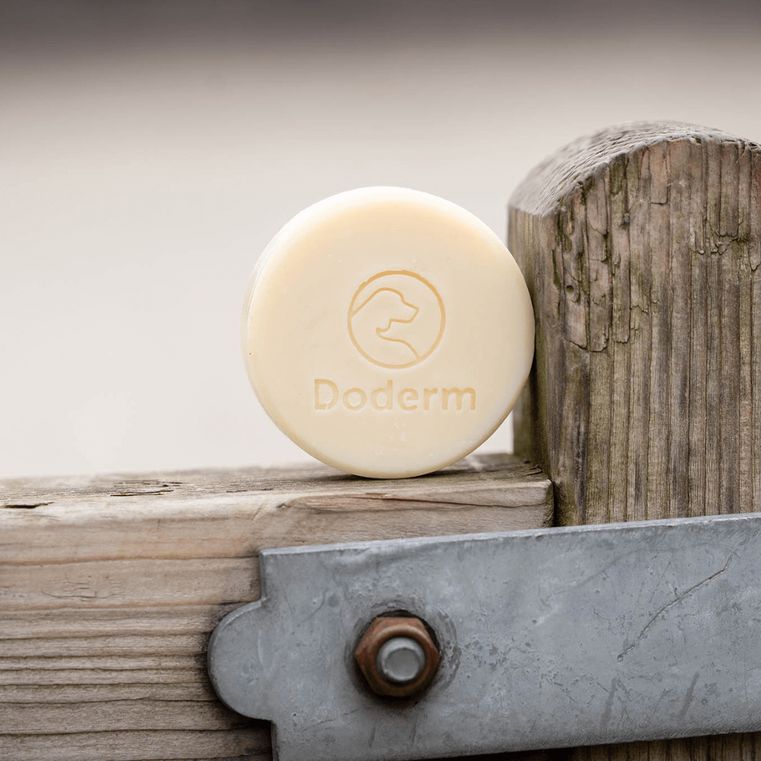 Doderm Shampoo Bar für Haustiere – sanfte Reinigung bei Hautirritationen
