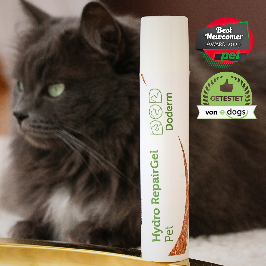 Hydro RepairGel pour animaux de compagnie
