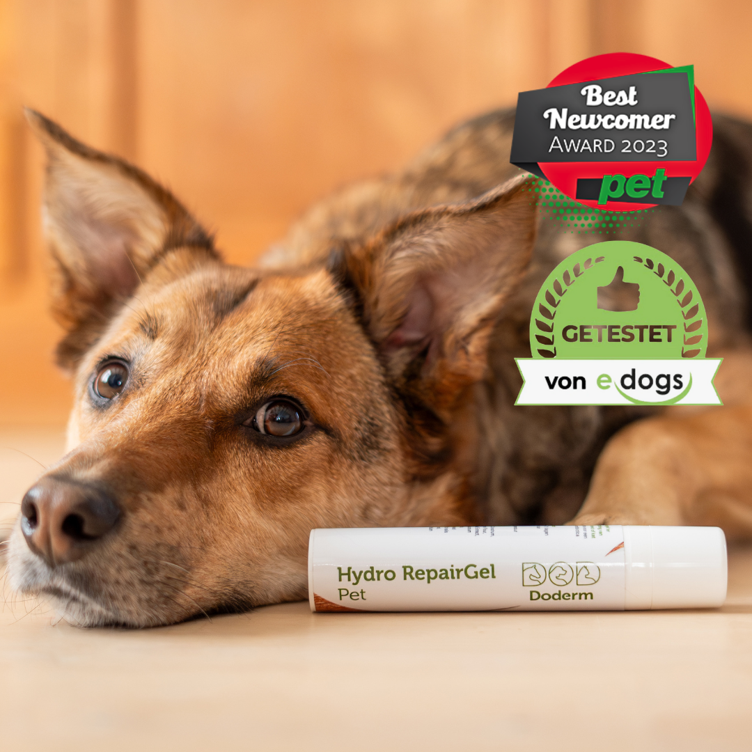 Hydro RepairGel pour animaux de compagnie