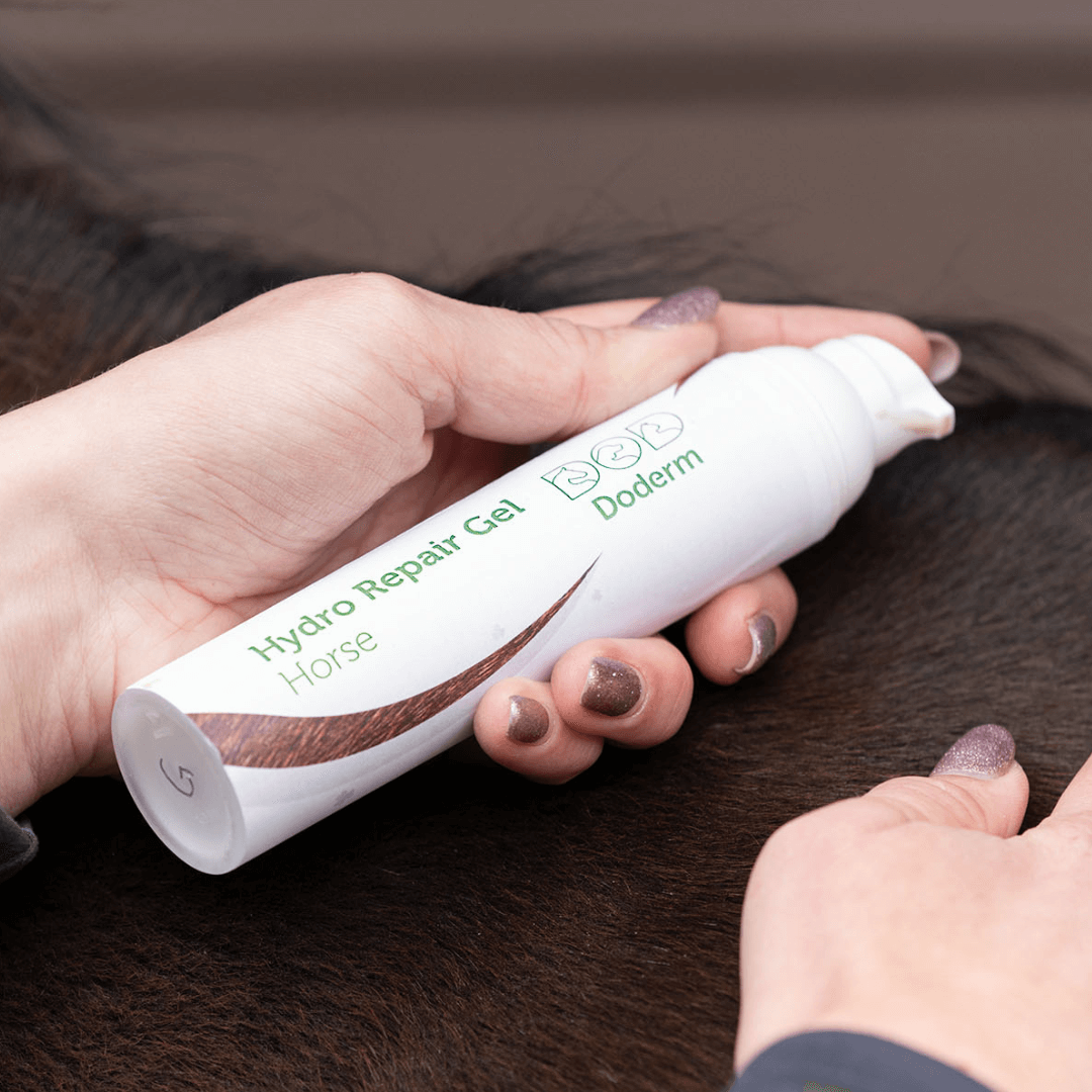 Doderm Gel gegen Mauke beim Pferd – natürliche Pflege bei Hautproblemen