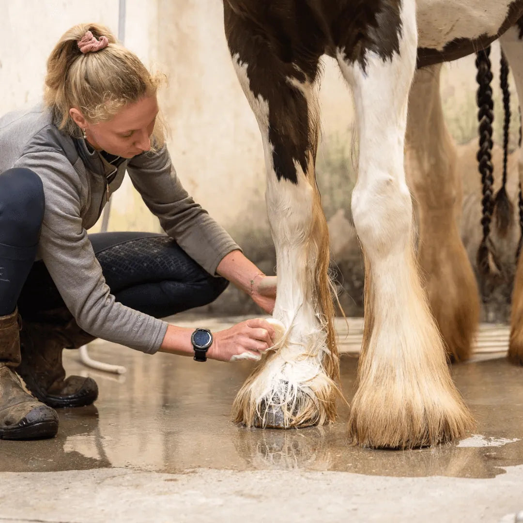 Doderm festes Shampoo bei Juckreiz & schuppiger Haut beim Pferd – ohne Duftstoffe