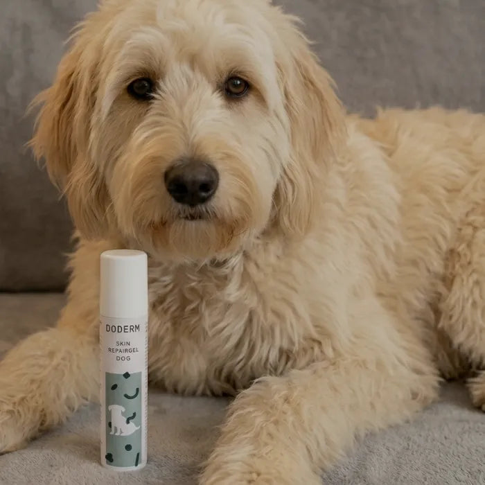 Skin RepairGel Dog 50 ml