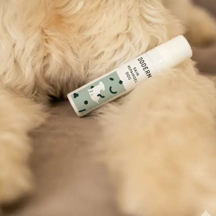 Skin RepairGel Dog 50 ml