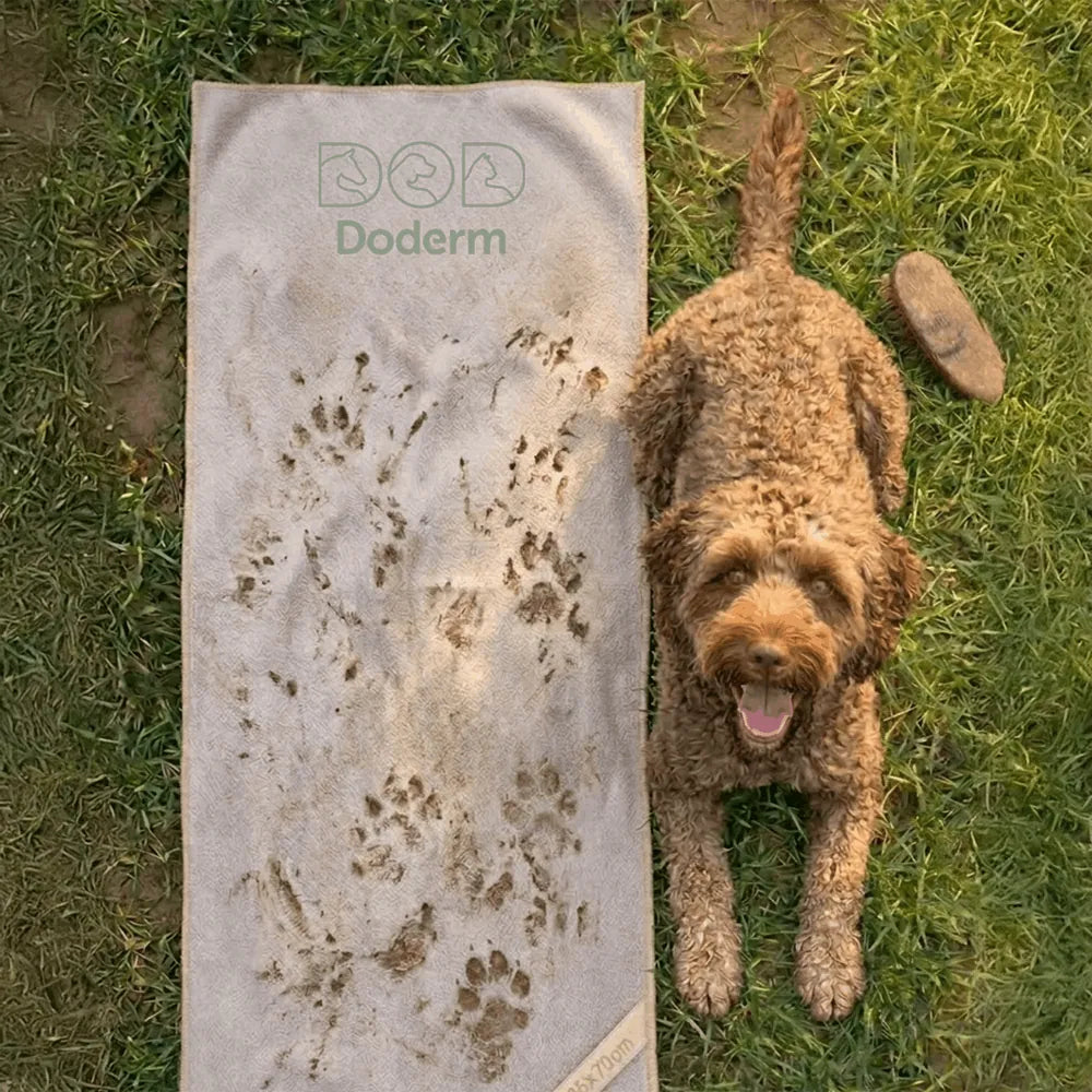 Serviette en microfibre