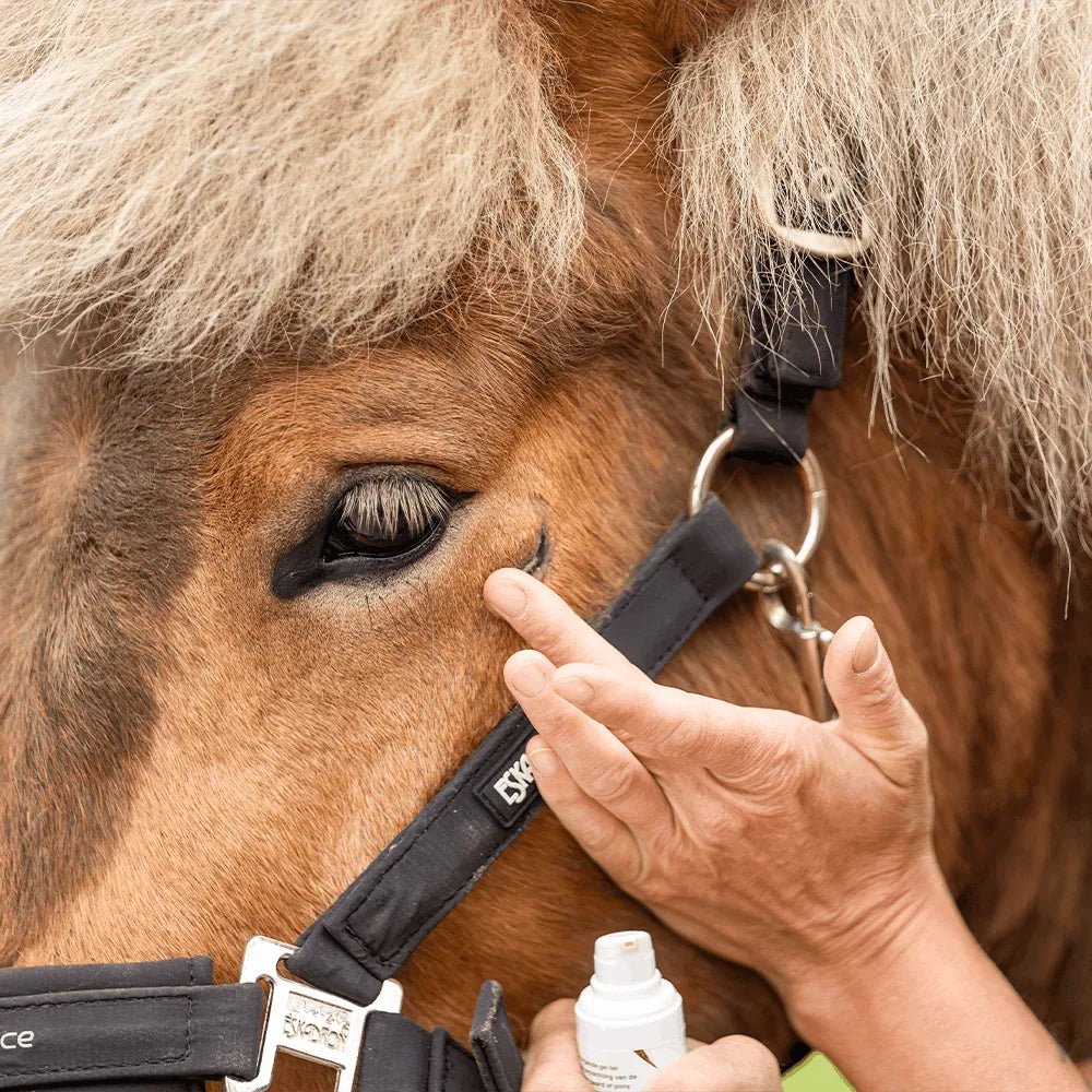 Repair Gel Pferd – bei Mauke und Ekzem | Doderm