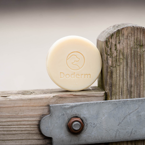 Doderm Alpaka Shampoo Bar Pet