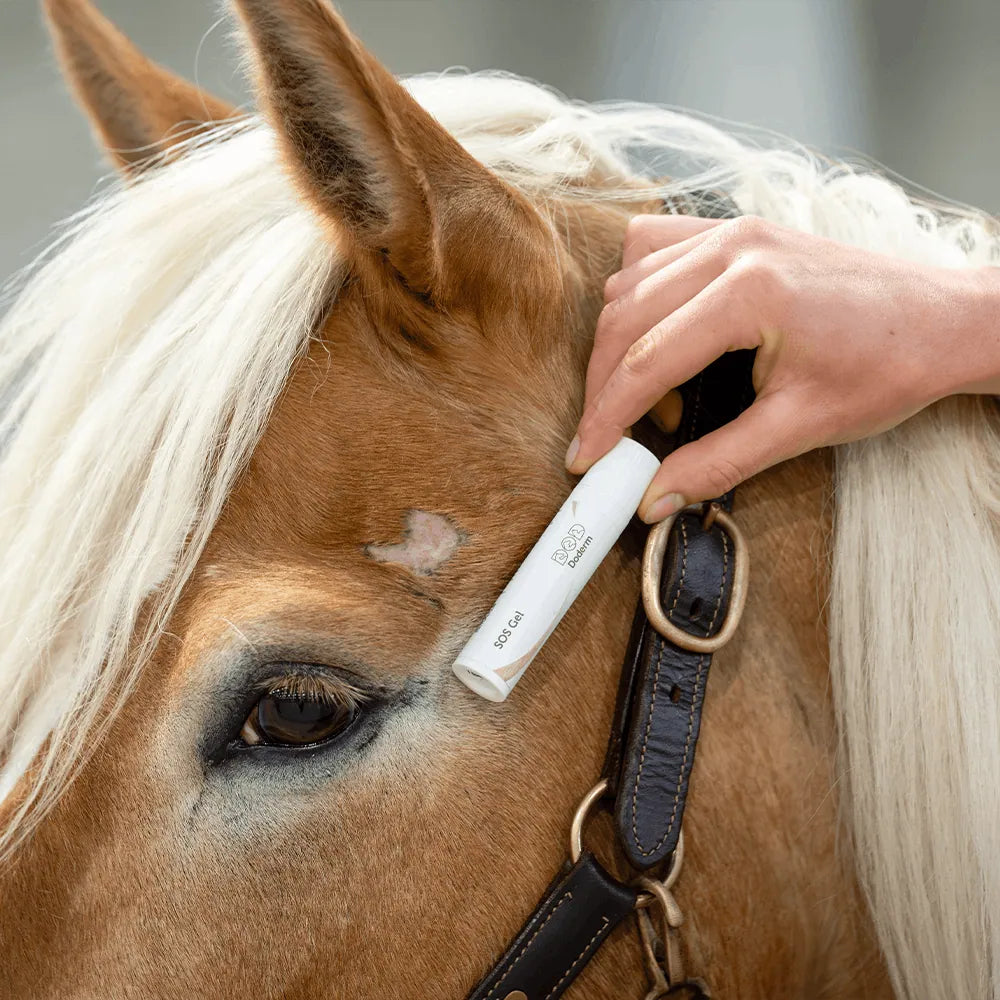 Gel Réparateur SOS Hydro