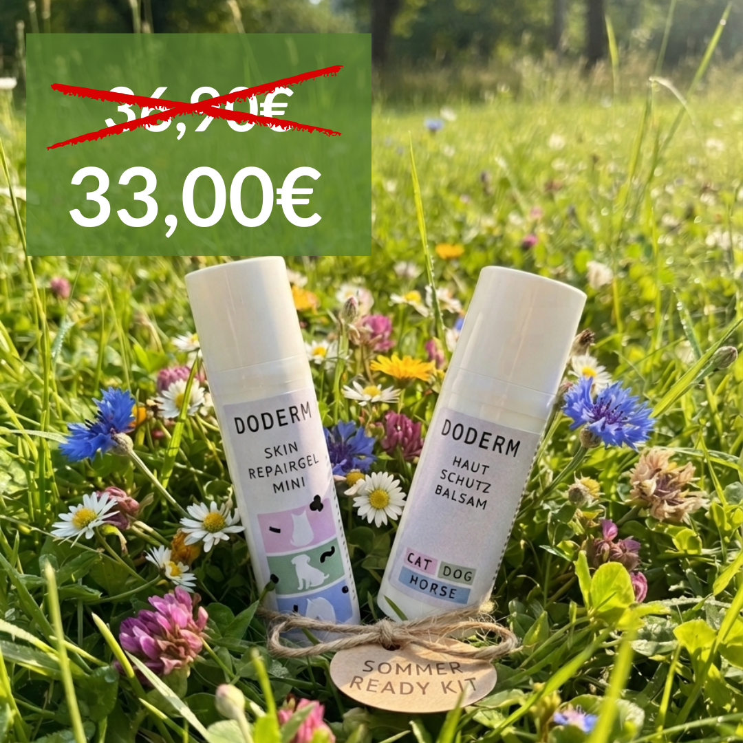 Doderm Summer Ready Kit