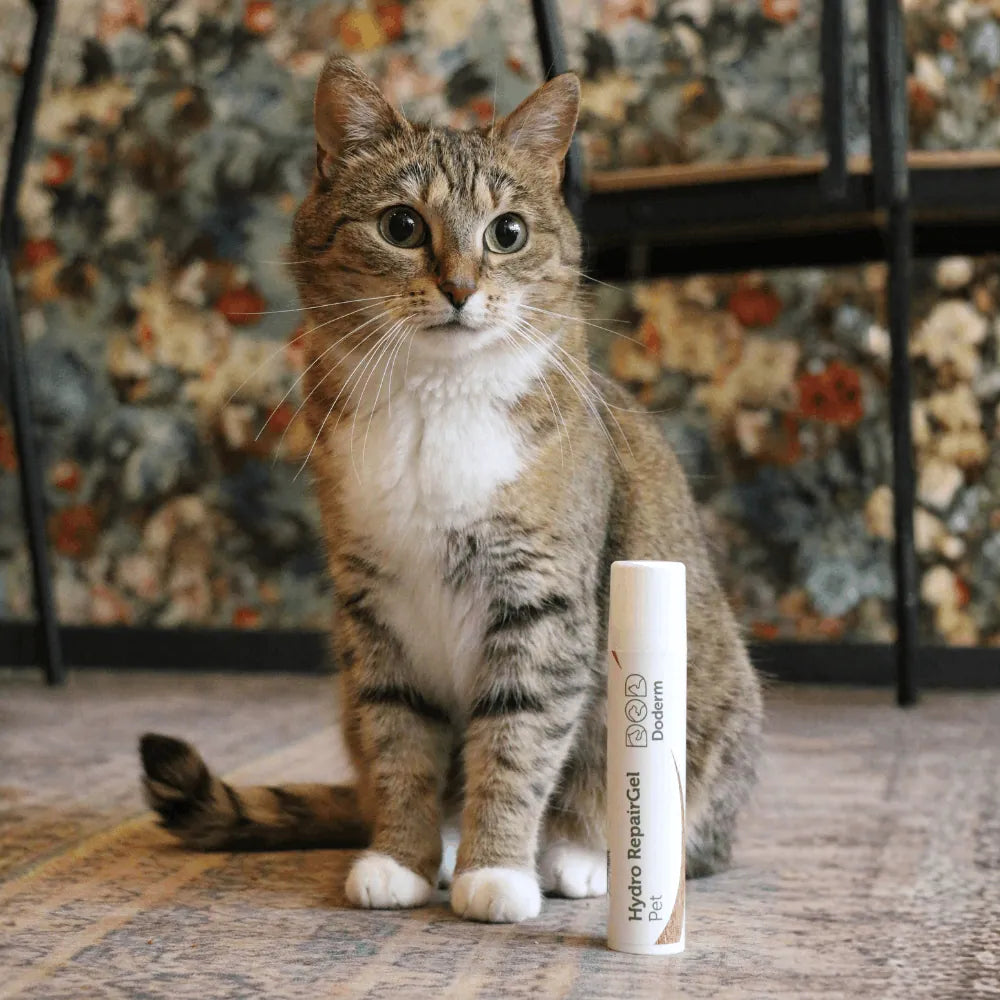 Doderm Gel Duo bij jeuk en huidproblemen voor honden & katten