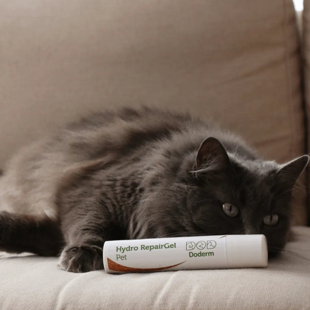 Doderm RepairGel für Hund & Katze - Hilft bei juckender Haut