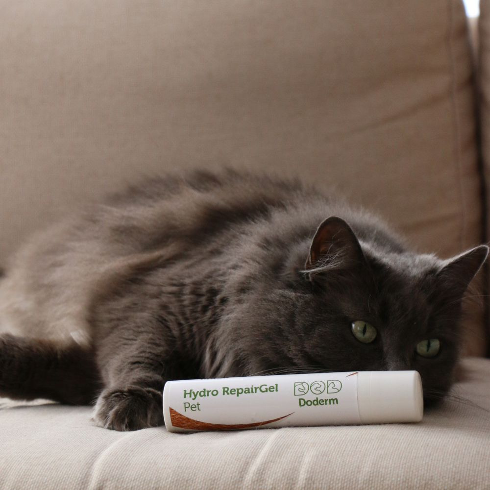 Hydro RepairGel pour animaux de compagnie