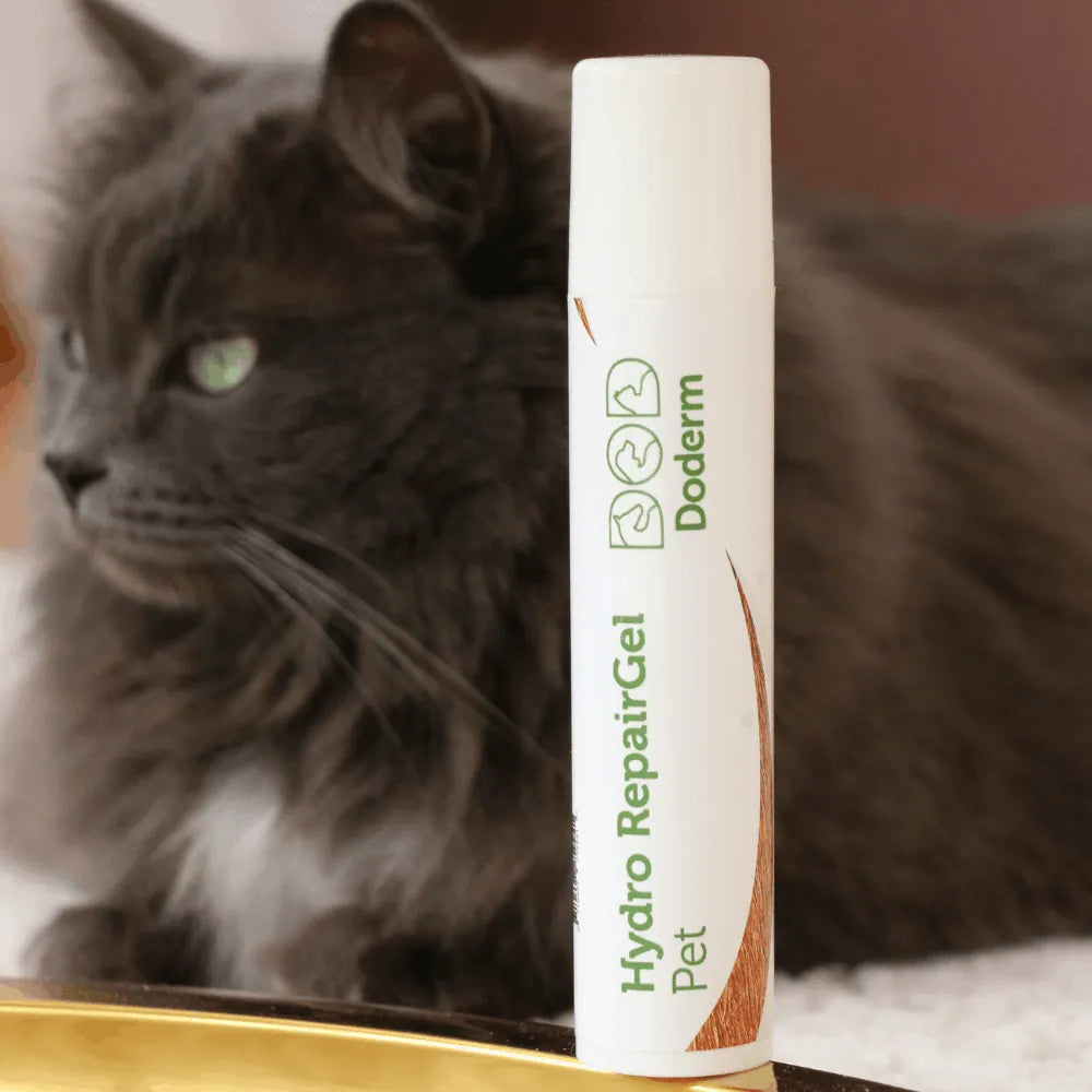 Doderm RepairGel für Hund & Katze - Hilft bei juckender Haut