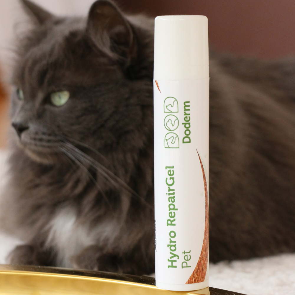 Hydro RepairGel pour animaux de compagnie
