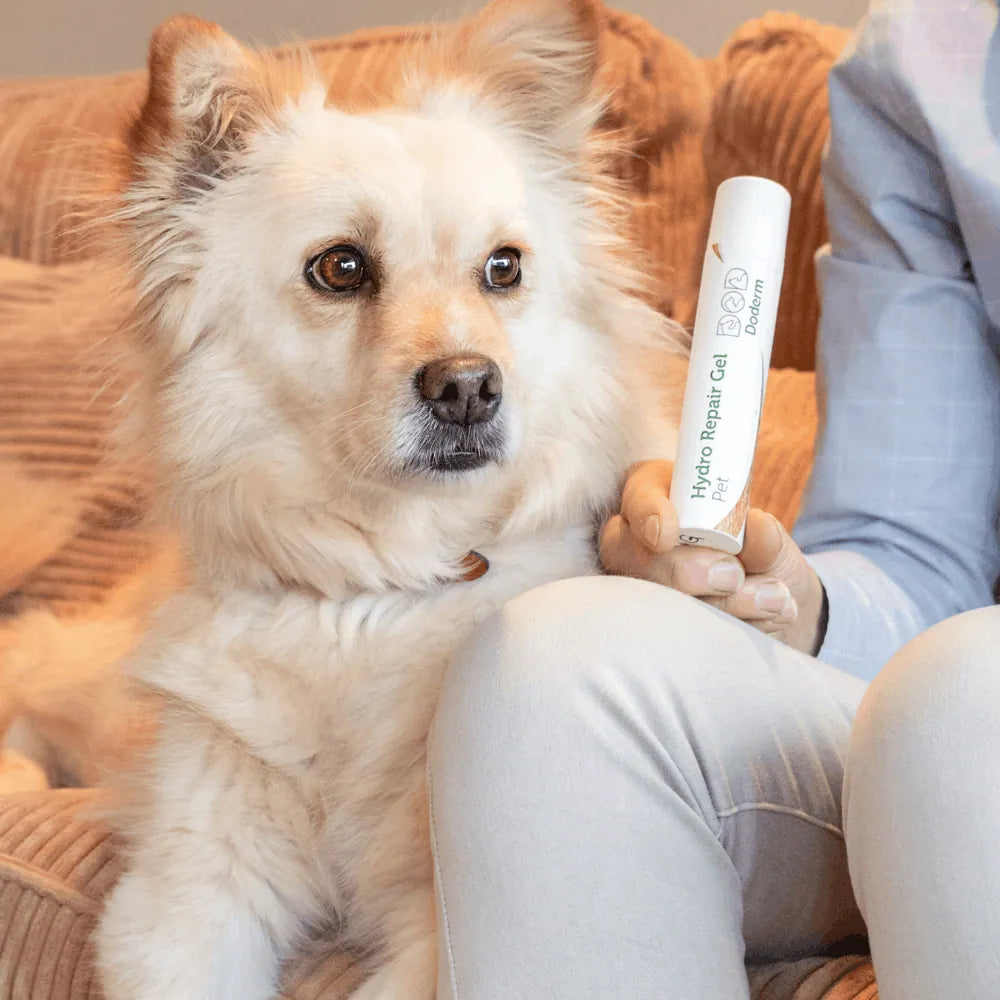 Doderm RepairGel für Hund & Katze - Hilft bei juckender Haut