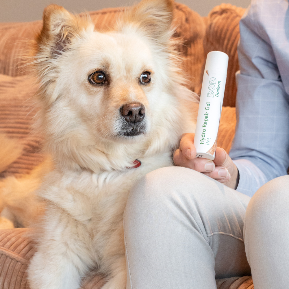 Hydro RepairGel pour animaux de compagnie