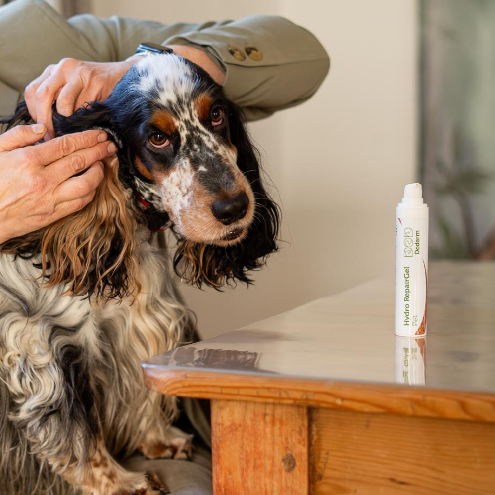 Hydro RepairGel pour animaux de compagnie