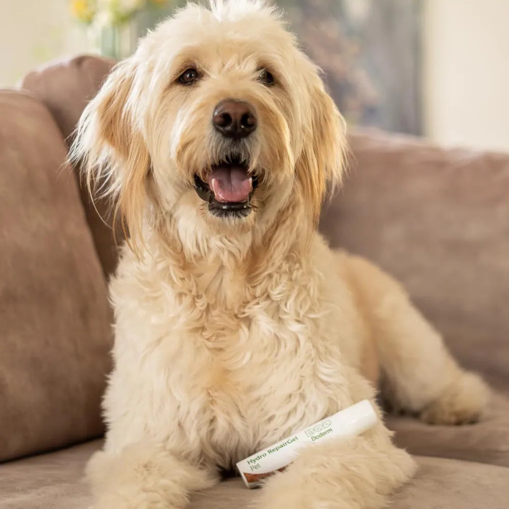 Doderm Gel Duo bij jeuk en huidproblemen voor honden & katten
