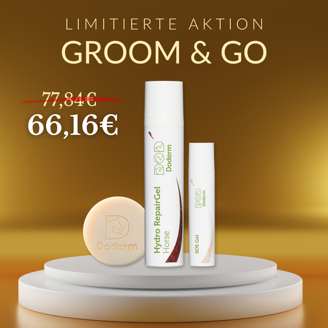 Groom & Go