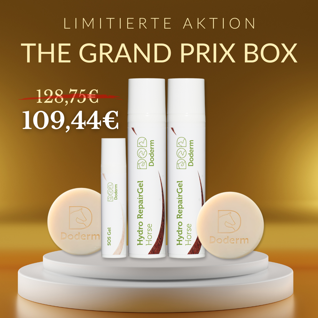 The Grand Prix Box