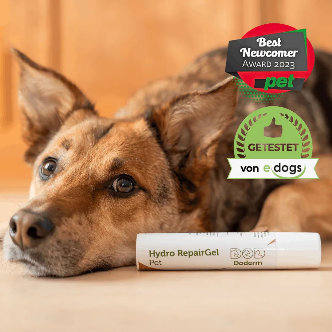 Doderm Gel Duo bij jeuk en huidproblemen voor honden & katten